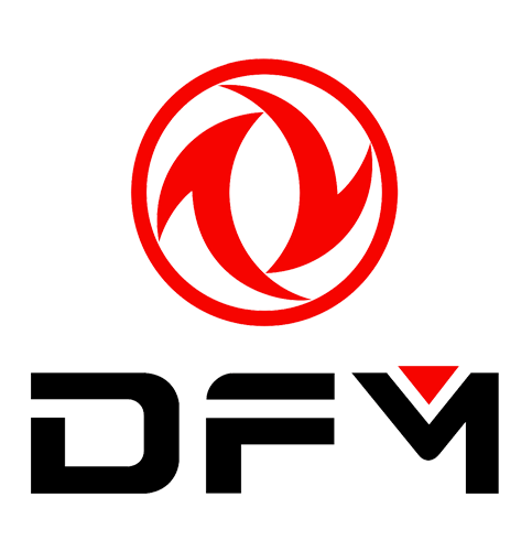 logo dfm